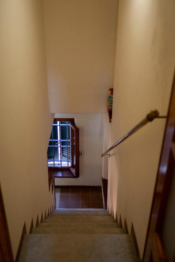 Lucca In Corte Near The City Centre エクステリア 写真